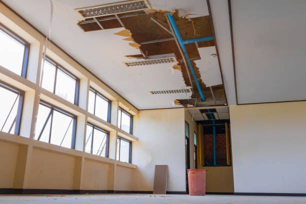 Best Flooded house restoration  in Charleston, IL