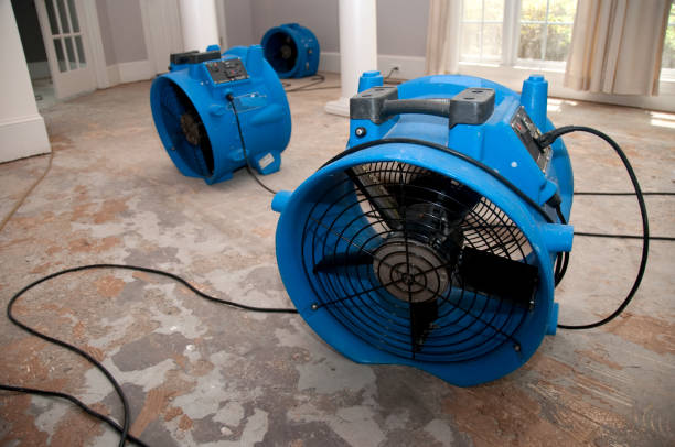Best Local water damage restoration  in Charleston, IL